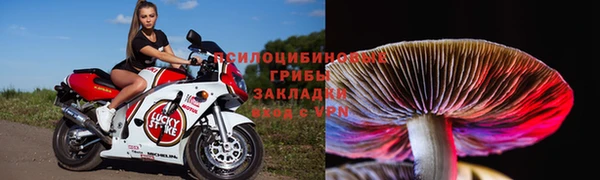 мяу мяу мука Нягань