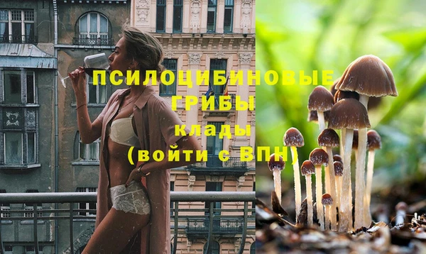 альфа пвп Осташков