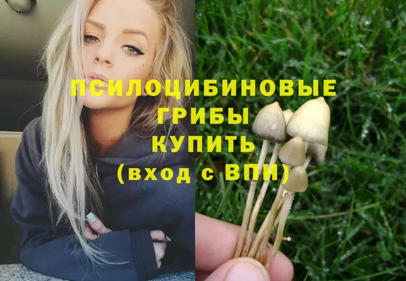 Псилоцибиновые грибы Magic Shrooms  Лихославль 